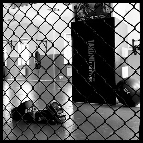 ufc зал чб
